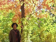 -长春市南湖公园