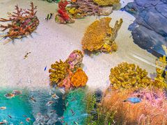 -上海海洋水族馆