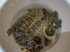 -帝皇海海鲜豆捞(桐泾商务广场店)