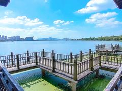 -高子水居