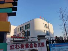 -红杉树紫金幼儿园