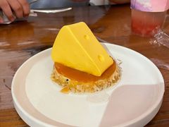 -猫小院猫主题咖啡厅(北锣店)