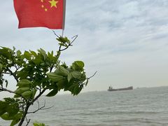-上海滨江森林公园