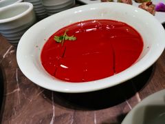 -红九格老火锅(三峡广场店)