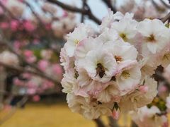 -盈香心动乐园