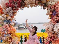 -荷兰花海