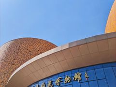 -中国陶瓷谷