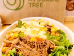 -油梨树AVOCADO TREE(嘉里中心店)