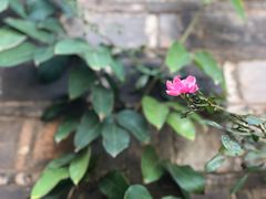 -品腐记·豆腐王朝(老门东总店)