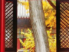 -红螺寺