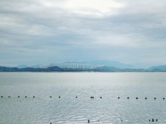 -福田红树林生态公园