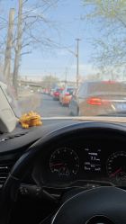 -蓝呗呗蓝莓草莓采摘园(通州区马驹桥店)