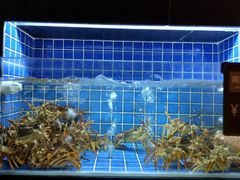 -徐记海鲜(汉城湖|太奥店)