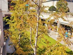 -刘长兴(逸仙桥店)