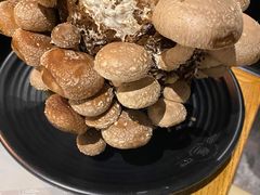 -今日炊牛·潮汕牛肉火锅(华采天地店)