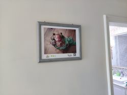 -菁幼月子会所(儿童医院店)