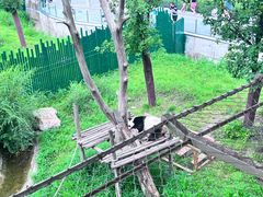 -沈阳森林动物园