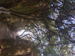 iphone_upload_pic-东澳岛