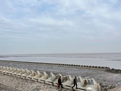 -南汇新城海滩