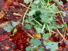 -胖大姐黄辣丁鱼庄(新津店)