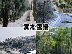 -莫干山风景区