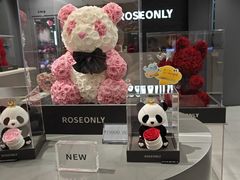 -ROSEONLY诺誓(国际广场购物中心店)
