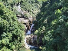 -海南热带雨林国家公园吊罗山景区