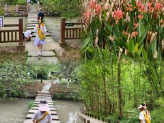 -桤木河湿地公园