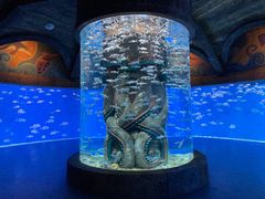 -波塞冬海底世界