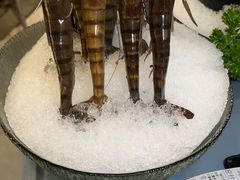 -喜聚薈·花膠雞海鮮火鍋(越秀店)