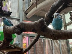 -正佳雨林生态植物园