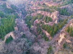 -函谷关历史文化旅游区