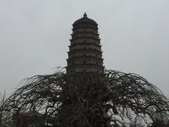 -法门文化景区