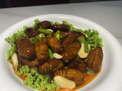 卤汁蚕蛹-拾柴熏酱-鲜虾水饺(群力店)