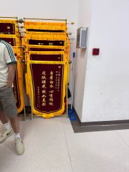-上海交通大学医学院附属上海儿童医学中心(陆家嘴总院区)