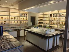 -臻美视爵眼镜·明月·依视路·蔡司折扣店(广渠门店)