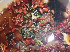 -雲蜀龙阁·金牌水煮鱼(方庄店)