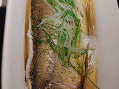 鸡汁蒸太湖白鱼（半条）-金枝玉叶上海人家食府(三里河店)