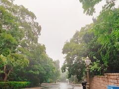-八大关景区