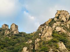 -大岭沟猕猴桃谷风景区