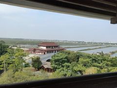 -大湾区中央湿地公园