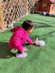 -萌宠亲子动物乐园(槐房万达店)