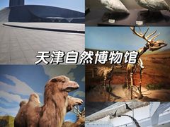 -天津自然博物馆