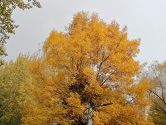 -森林公园(尖草坪区)