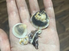 -白城沙滩