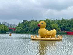 -青枫公园