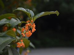 -杭州少年儿童公园