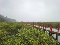 -北海金海湾红树林生态旅游区