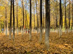 -艾溪湖湿地公园