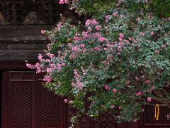 -报恩寺(平武县)